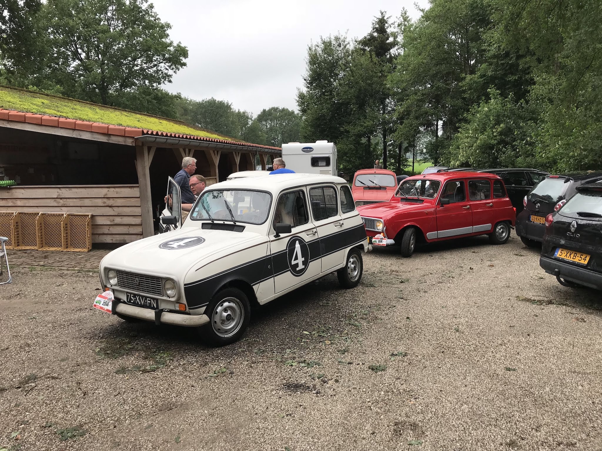 renault-4-wit